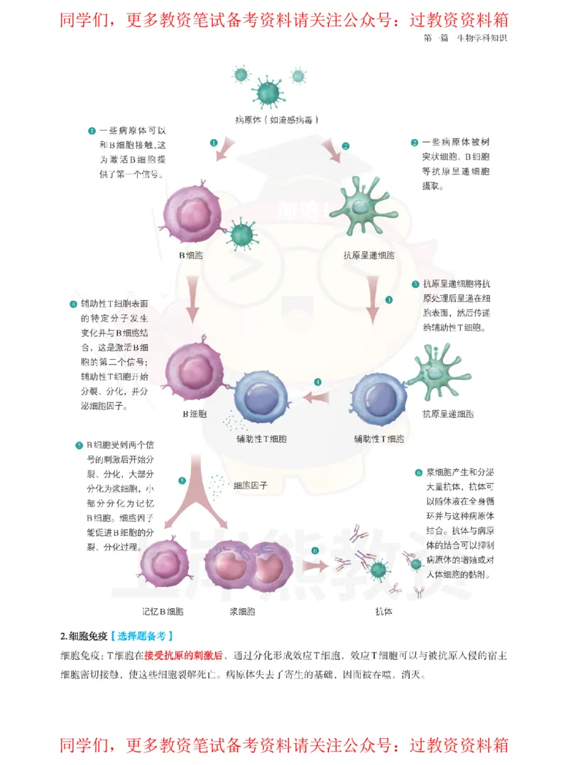高中生物-学霸笔记108页_教资_初高中2026教资_26上资料（持续更新）_高中科三_高中科目三资料包合集②_高中生物