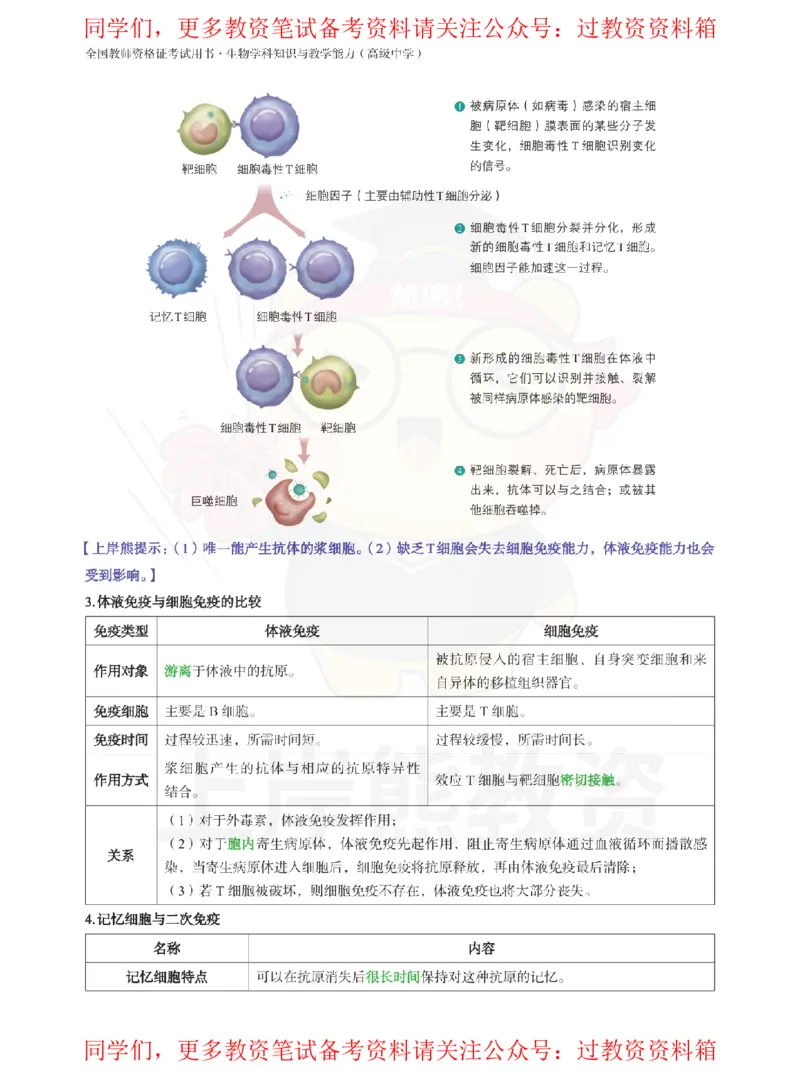 高中生物-学霸笔记108页_教资_初高中2026教资_26上资料（持续更新）_高中科三_高中科目三资料包合集②_高中生物