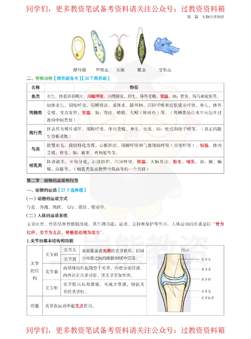 高中生物-学霸笔记108页_教资_初高中2026教资_26上资料（持续更新）_高中科三_高中科目三资料包合集②_高中生物