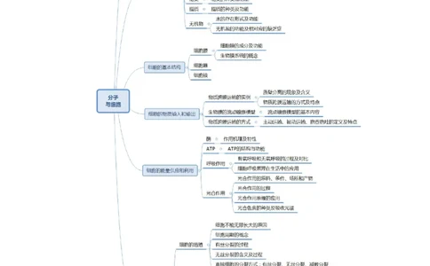 思维导图（生物）_教资_25下资料合集二_25下最新科三知识点汇编+思维导图-高中_09.生物_03.思维导图+知识汇编