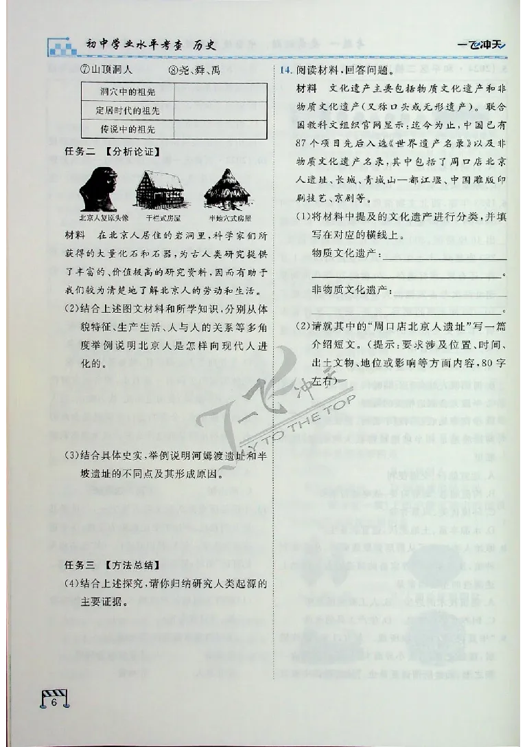 2025《一飞冲天-中考专项》历史_《一飞冲天-中考专项》2026版_一飞冲天-中考专项（2025版）