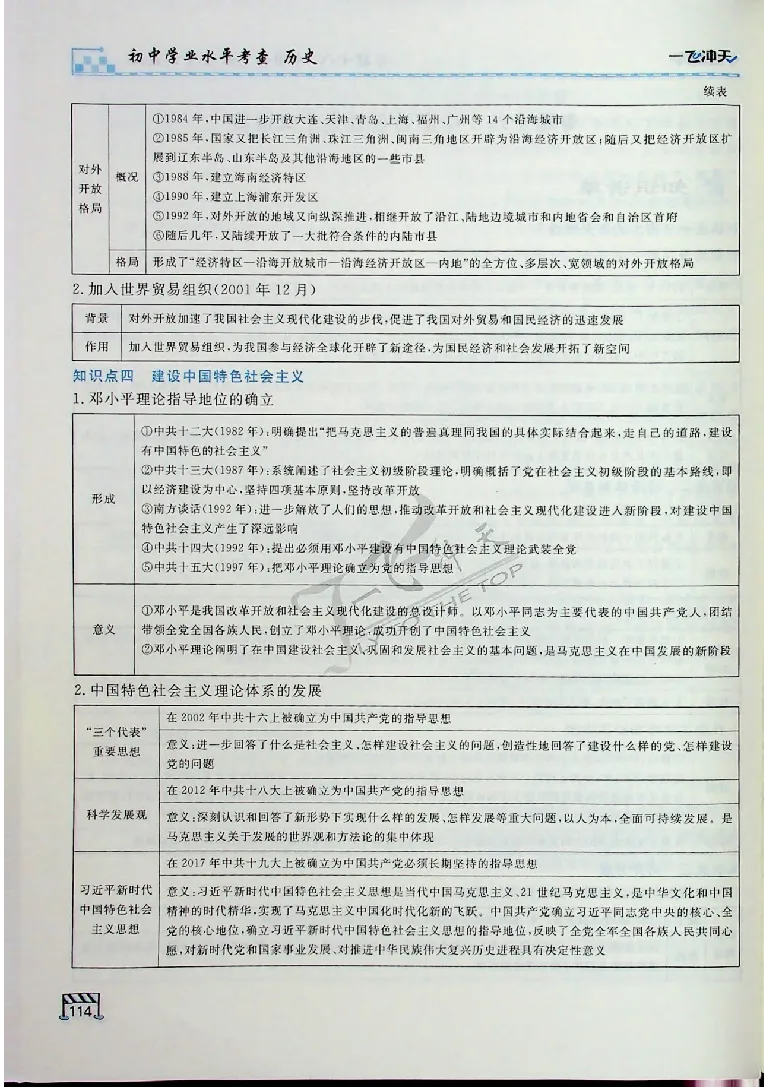 2025《一飞冲天-中考专项》历史_《一飞冲天-中考专项》2026版_一飞冲天-中考专项（2025版）