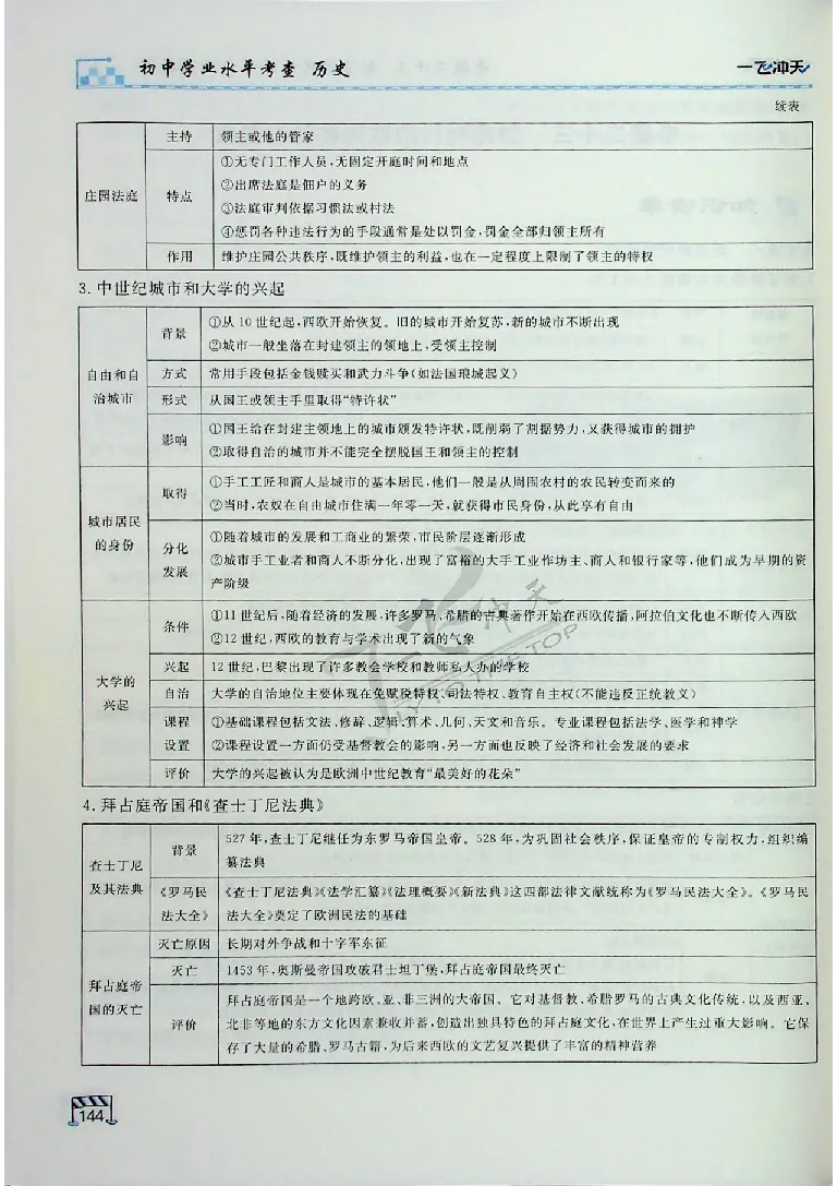 2025《一飞冲天-中考专项》历史_《一飞冲天-中考专项》2026版_一飞冲天-中考专项（2025版）