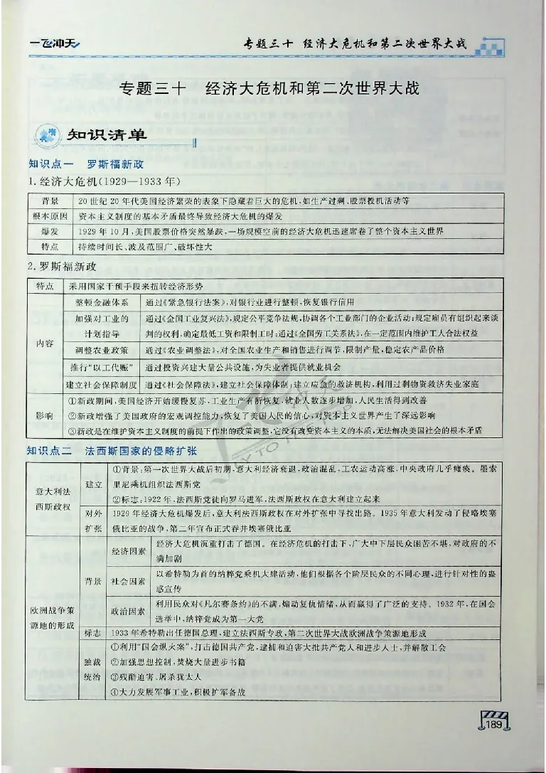 2025《一飞冲天-中考专项》历史_《一飞冲天-中考专项》2026版_一飞冲天-中考专项（2025版）