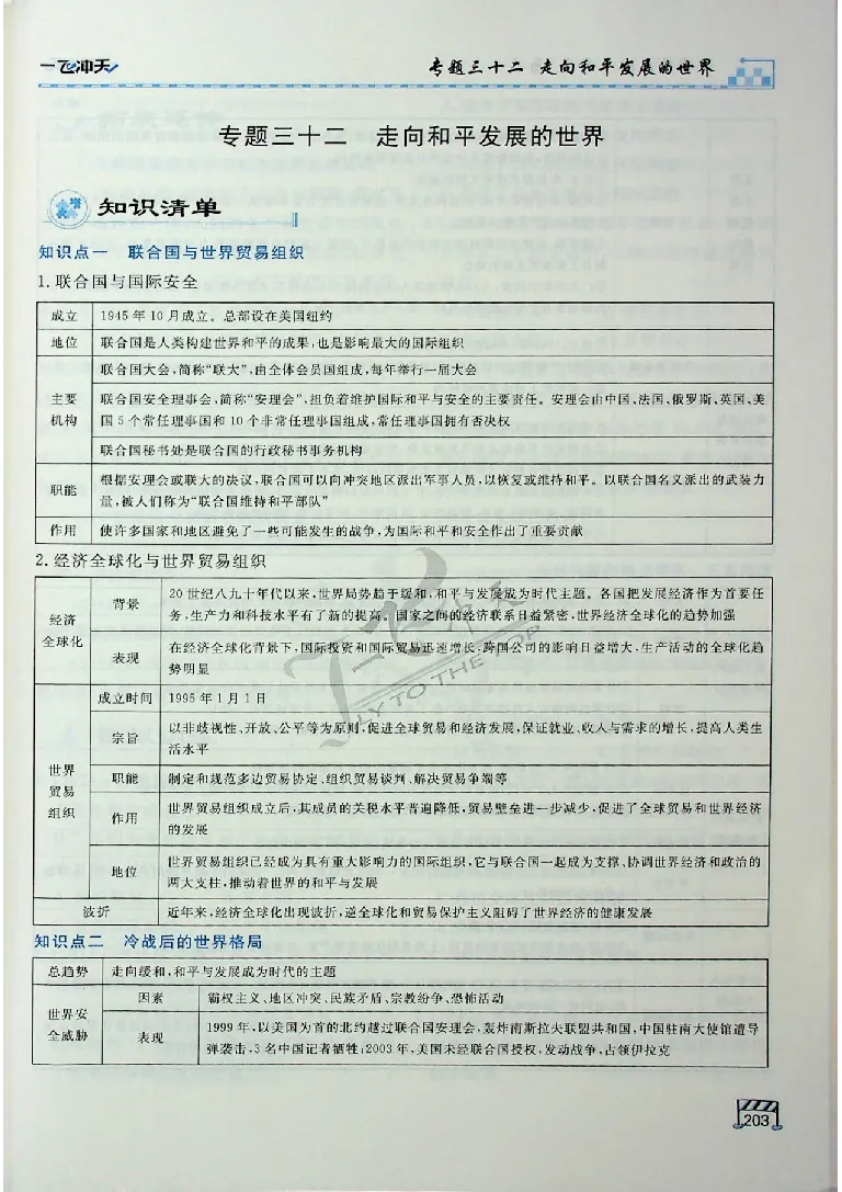 2025《一飞冲天-中考专项》历史_《一飞冲天-中考专项》2026版_一飞冲天-中考专项（2025版）