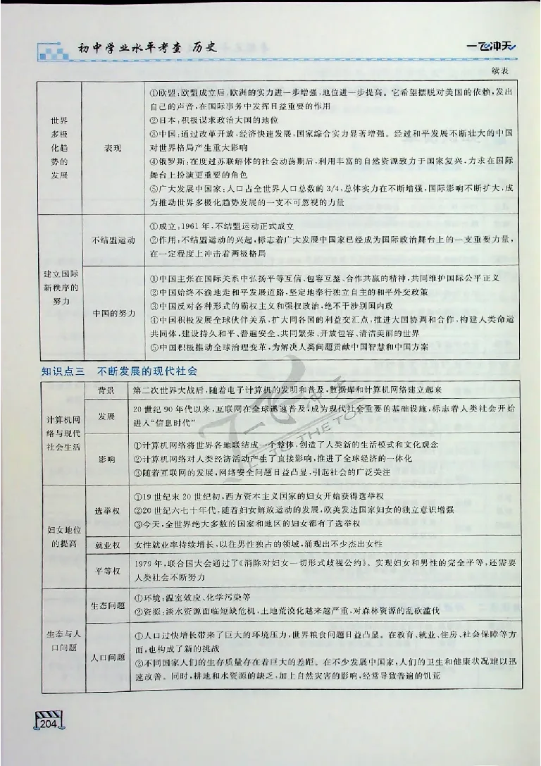 2025《一飞冲天-中考专项》历史_《一飞冲天-中考专项》2026版_一飞冲天-中考专项（2025版）
