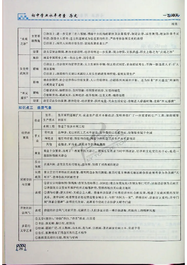 2025《一飞冲天-中考专项》历史_《一飞冲天-中考专项》2026版_一飞冲天-中考专项（2025版）