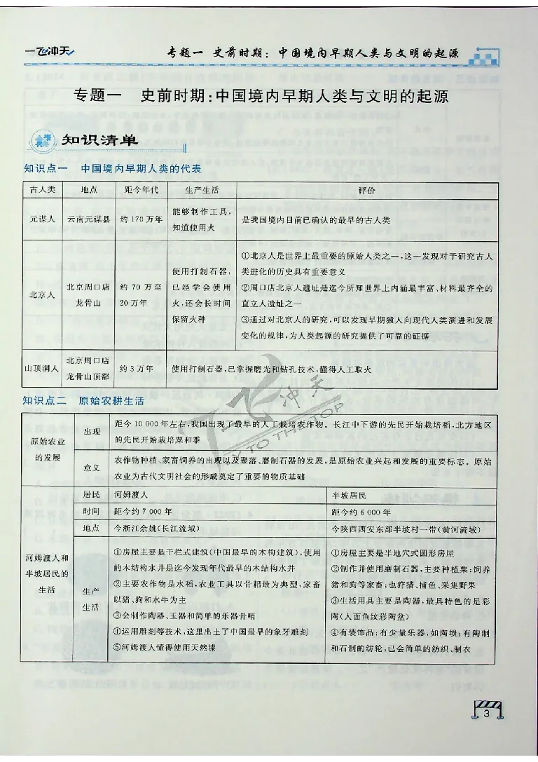 2025《一飞冲天-中考专项》历史_《一飞冲天-中考专项》2026版_一飞冲天-中考专项（2025版）
