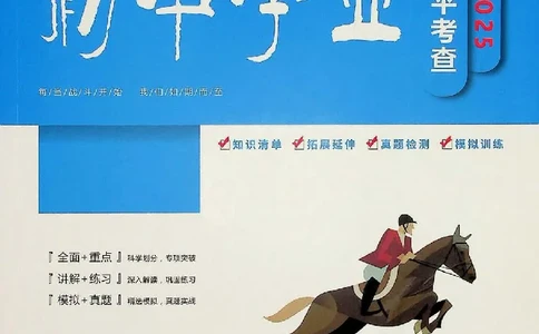 2025《一飞冲天-中考专项》历史_《一飞冲天-中考专项》2026版_一飞冲天-中考专项（2025版）