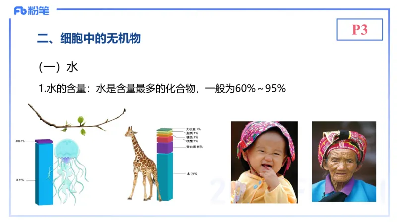 1.14晚-分子生物学1-拾光_4-教培资料-26年最新资料-同步更新_科一科二电子资料合集中小幼（笔记真题知识点汇总等）文件多，按需保存_各机构笔记合集（中小幼）推荐_01理论精讲