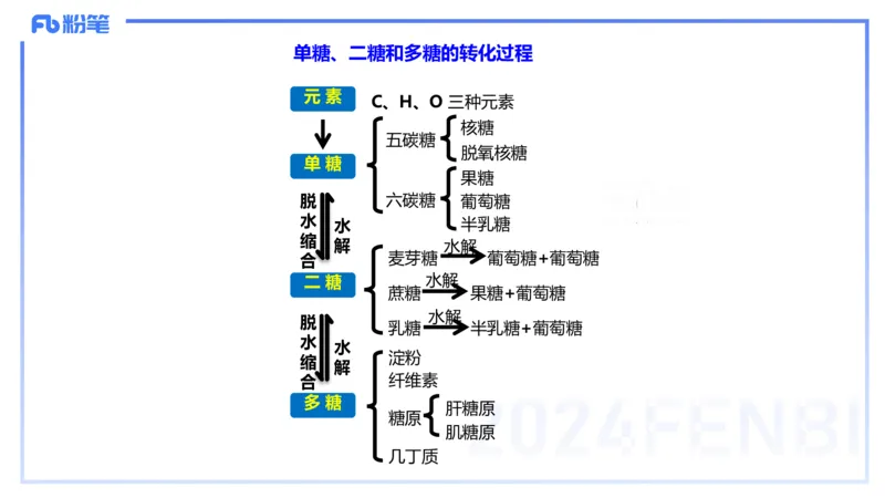 1.14晚-分子生物学1-拾光_4-教培资料-26年最新资料-同步更新_科一科二电子资料合集中小幼（笔记真题知识点汇总等）文件多，按需保存_各机构笔记合集（中小幼）推荐_01理论精讲