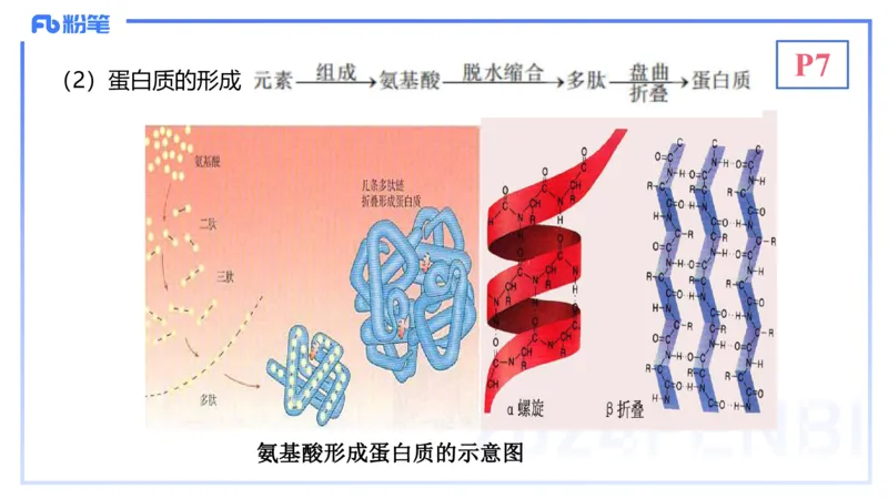 1.14晚-分子生物学1-拾光_4-教培资料-26年最新资料-同步更新_科一科二电子资料合集中小幼（笔记真题知识点汇总等）文件多，按需保存_各机构笔记合集（中小幼）推荐_01理论精讲