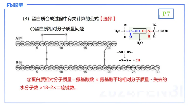 1.14晚-分子生物学1-拾光_4-教培资料-26年最新资料-同步更新_科一科二电子资料合集中小幼（笔记真题知识点汇总等）文件多，按需保存_各机构笔记合集（中小幼）推荐_01理论精讲