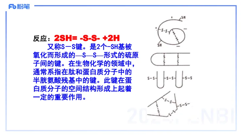 1.14晚-分子生物学1-拾光_4-教培资料-26年最新资料-同步更新_科一科二电子资料合集中小幼（笔记真题知识点汇总等）文件多，按需保存_各机构笔记合集（中小幼）推荐_01理论精讲