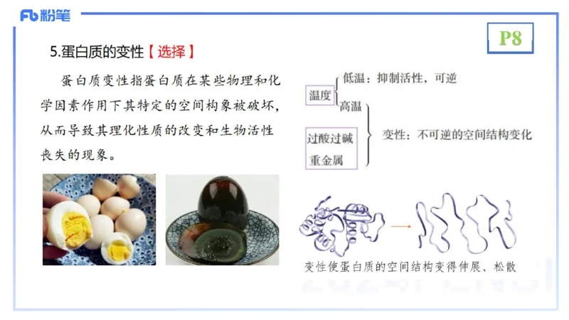 1.14晚-分子生物学1-拾光_4-教培资料-26年最新资料-同步更新_科一科二电子资料合集中小幼（笔记真题知识点汇总等）文件多，按需保存_各机构笔记合集（中小幼）推荐_01理论精讲