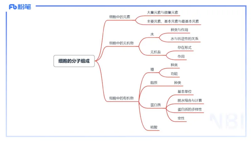1.14晚-分子生物学1-拾光_4-教培资料-26年最新资料-同步更新_科一科二电子资料合集中小幼（笔记真题知识点汇总等）文件多，按需保存_各机构笔记合集（中小幼）推荐_01理论精讲