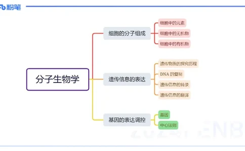 1.14晚-分子生物学1-拾光_4-教培资料-26年最新资料-同步更新_科一科二电子资料合集中小幼（笔记真题知识点汇总等）文件多，按需保存_各机构笔记合集（中小幼）推荐_01理论精讲