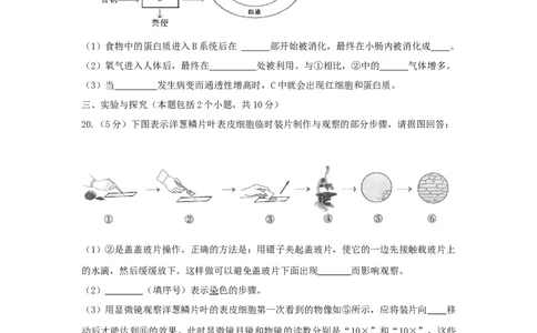 2011年淄博市中考生物试题及答案._中考真题_8.生物中考真题2015-2024年_地区卷_山东省_山东淄博生物10-21缺19.20