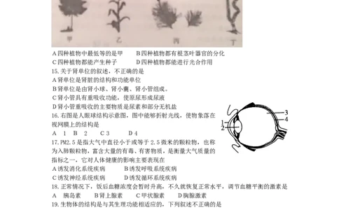 2012年聊城市中考生物试卷及答案_中考真题_8.生物中考真题2015-2024年_地区卷_山东省_山东聊城生物10-22