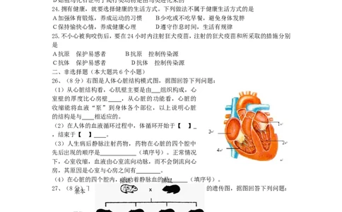 2012年聊城市中考生物试卷及答案_中考真题_8.生物中考真题2015-2024年_地区卷_山东省_山东聊城生物10-22