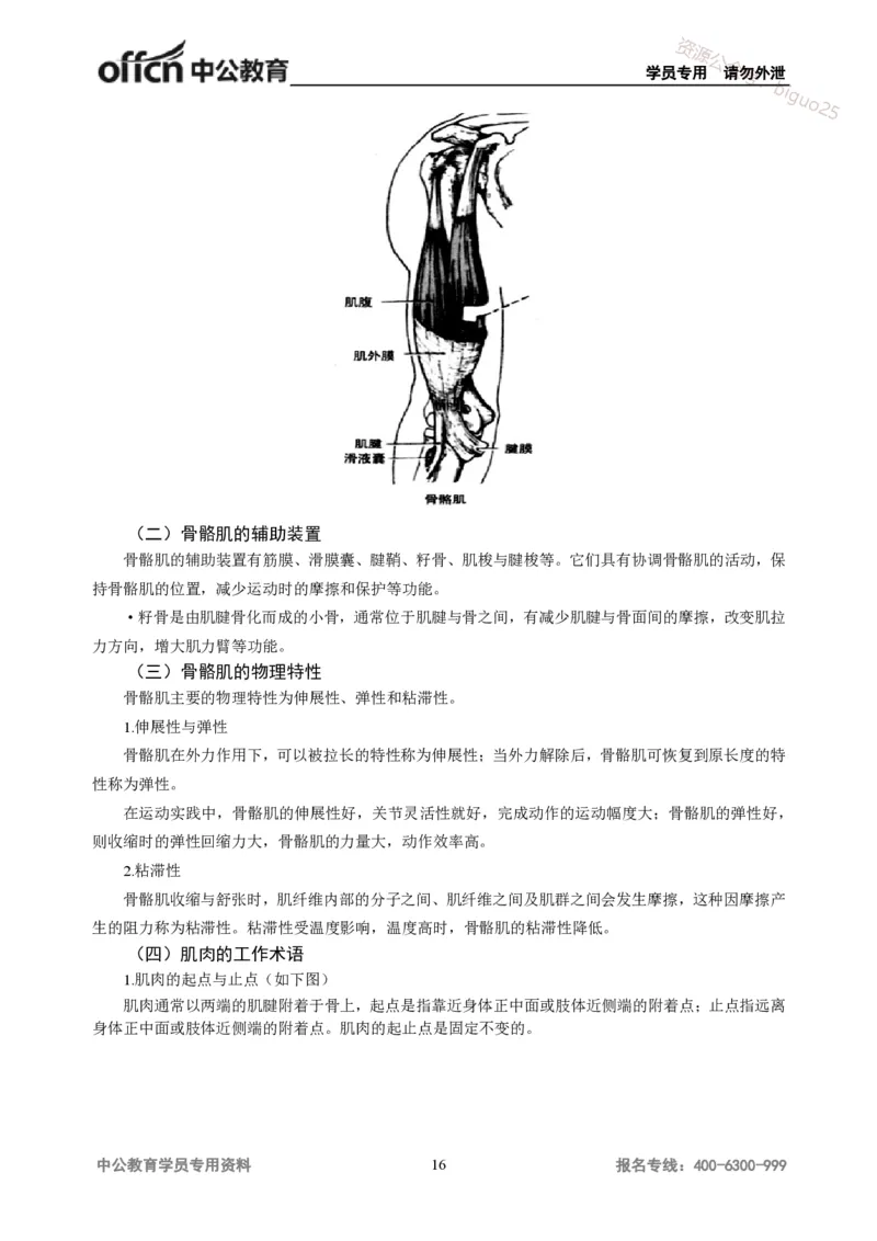 学科知识与教学能力-高中体育讲义313页_教资_33教资笔试历年真题汇总（科一+科二+科三）_科三真题_02高中科三各科电子资料包合集_体育（资料文档）_高中体育