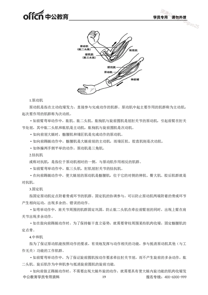 学科知识与教学能力-高中体育讲义313页_教资_33教资笔试历年真题汇总（科一+科二+科三）_科三真题_02高中科三各科电子资料包合集_体育（资料文档）_高中体育