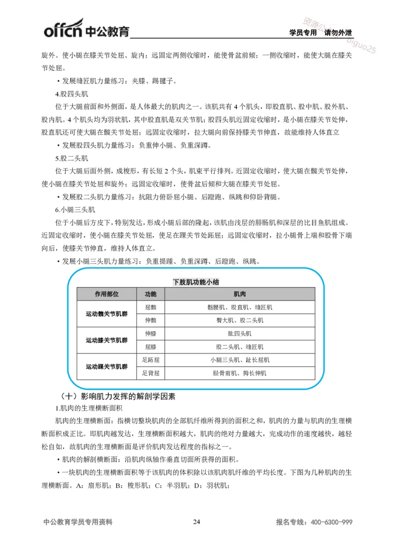 学科知识与教学能力-高中体育讲义313页_教资_33教资笔试历年真题汇总（科一+科二+科三）_科三真题_02高中科三各科电子资料包合集_体育（资料文档）_高中体育