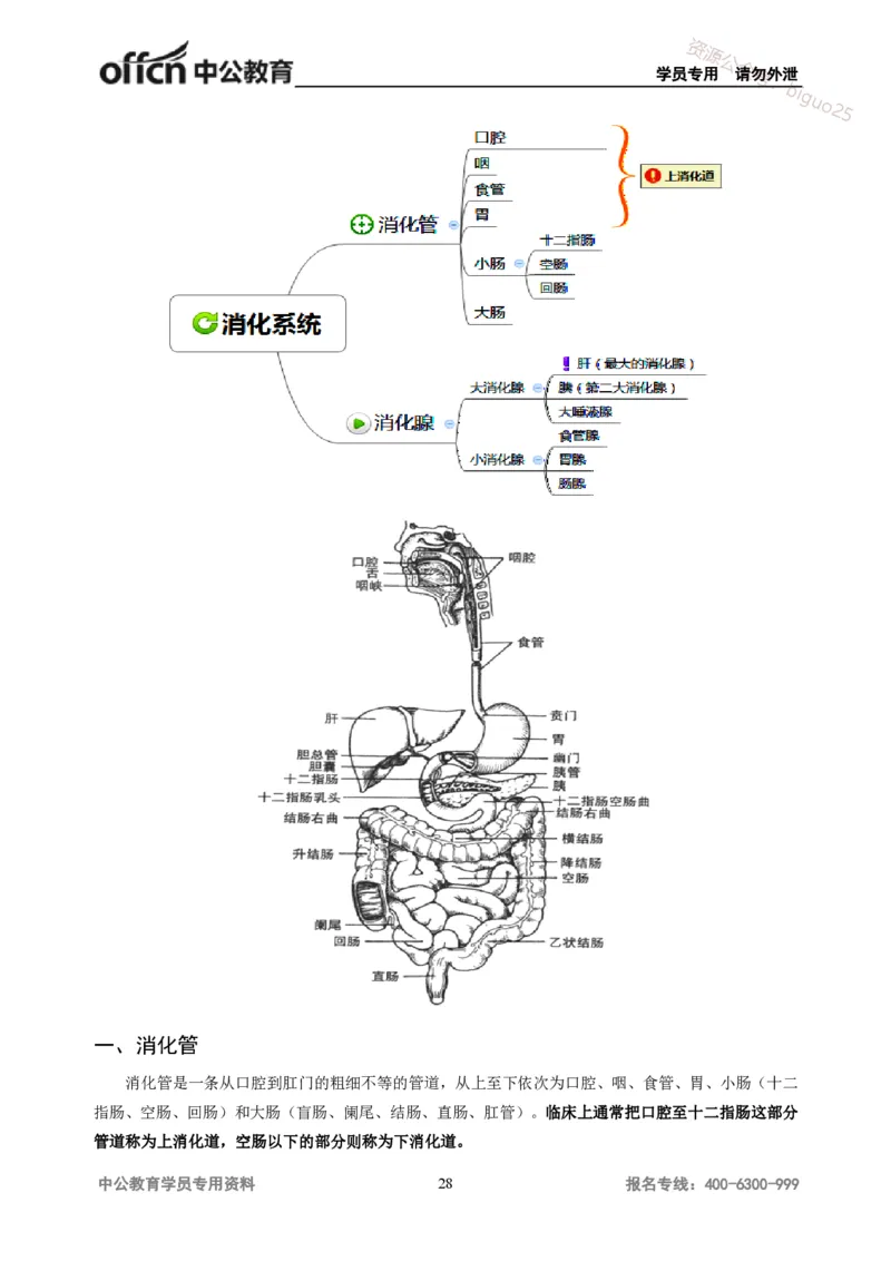学科知识与教学能力-高中体育讲义313页_教资_33教资笔试历年真题汇总（科一+科二+科三）_科三真题_02高中科三各科电子资料包合集_体育（资料文档）_高中体育