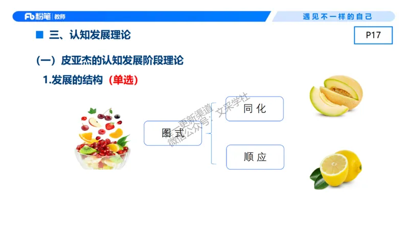 幼儿科目二+理论精讲02-保教知识与能力-曹西西(1)_教资_F家2026上教资笔试系统班_26上FB幼儿教资笔试（更新中）_0226上-保教知识与能力（更新中）_1.理论精讲_讲义