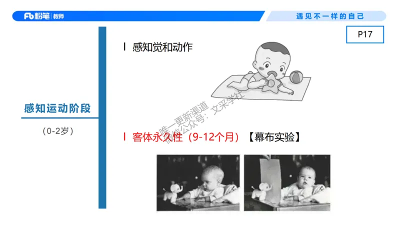 幼儿科目二+理论精讲02-保教知识与能力-曹西西(1)_教资_F家2026上教资笔试系统班_26上FB幼儿教资笔试（更新中）_0226上-保教知识与能力（更新中）_1.理论精讲_讲义