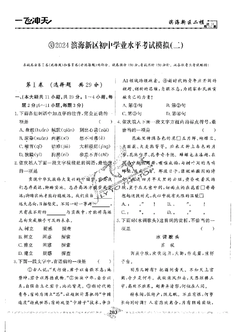 2025《一飞冲天-中考模拟试题汇编》语文_《一飞冲天-中考专项》2026版_一飞冲天-中考模拟试题汇编（2025版）