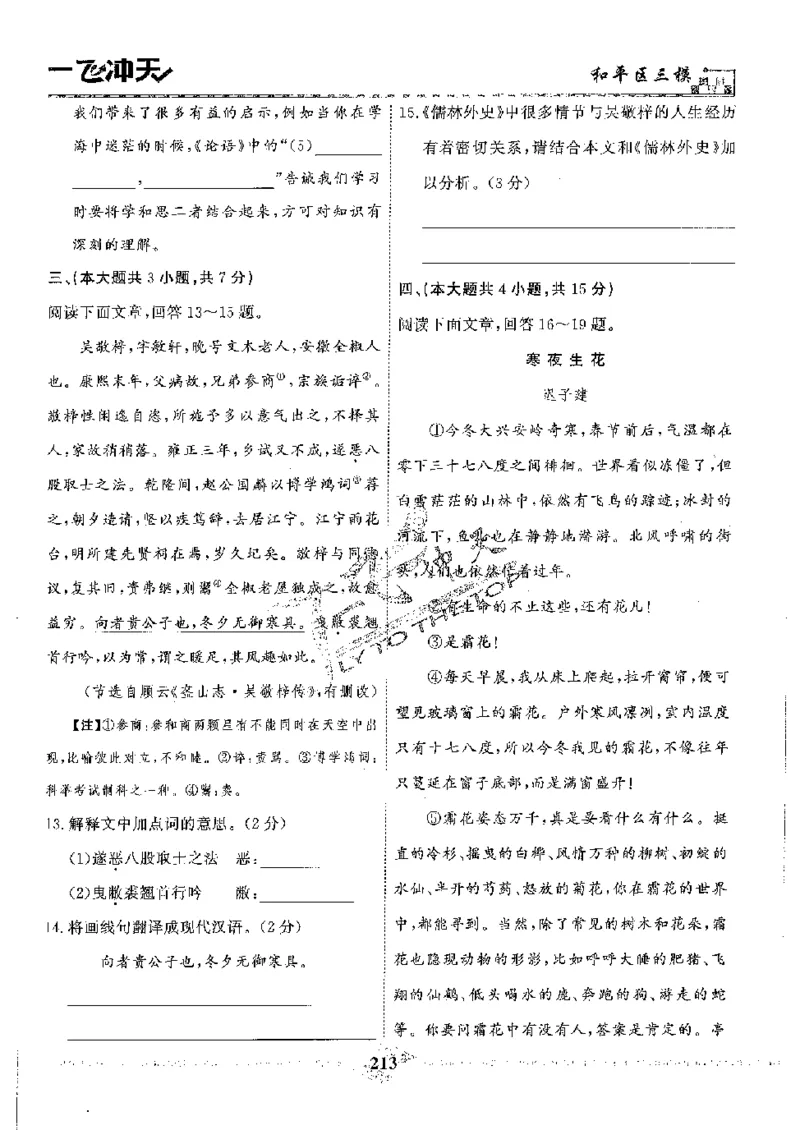 2025《一飞冲天-中考模拟试题汇编》语文_《一飞冲天-中考专项》2026版_一飞冲天-中考模拟试题汇编（2025版）