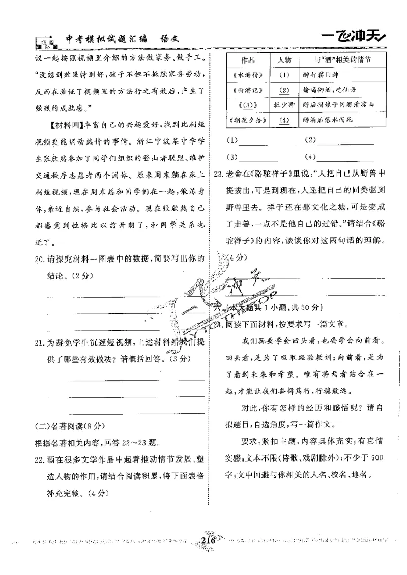 2025《一飞冲天-中考模拟试题汇编》语文_《一飞冲天-中考专项》2026版_一飞冲天-中考模拟试题汇编（2025版）