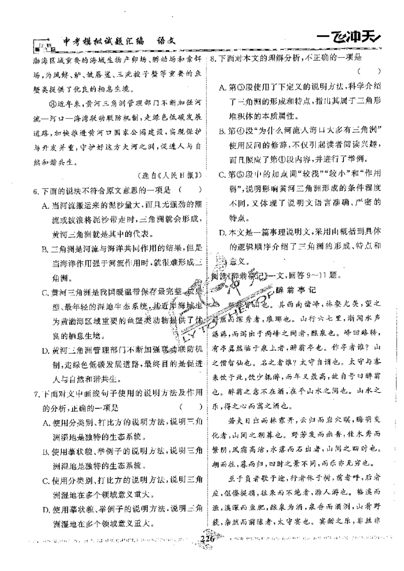 2025《一飞冲天-中考模拟试题汇编》语文_《一飞冲天-中考专项》2026版_一飞冲天-中考模拟试题汇编（2025版）