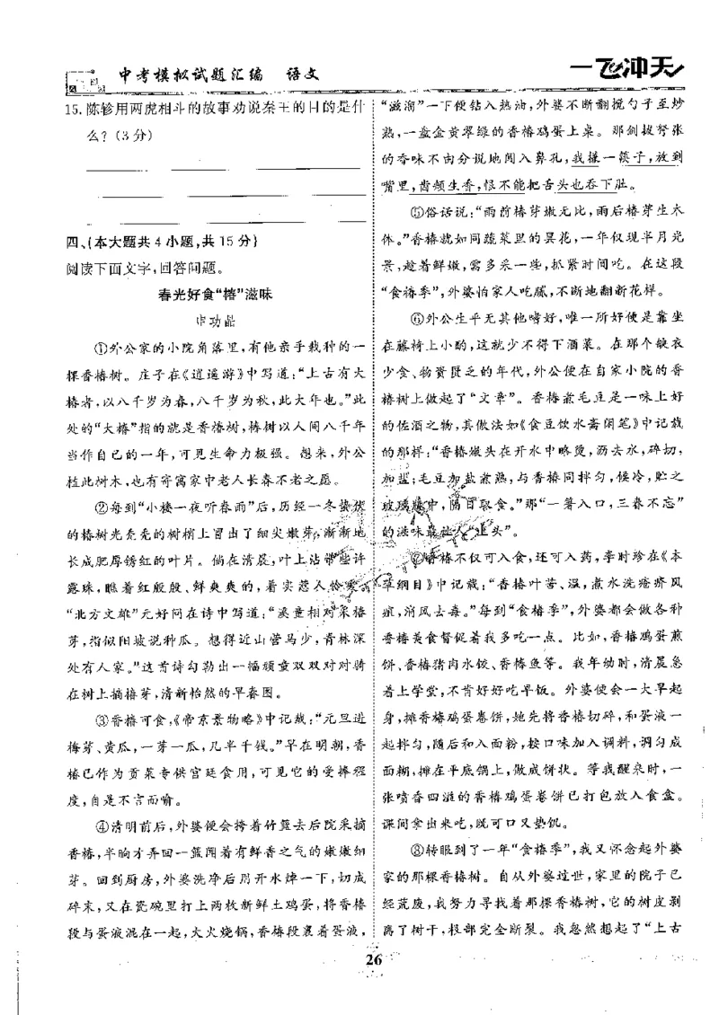 2025《一飞冲天-中考模拟试题汇编》语文_《一飞冲天-中考专项》2026版_一飞冲天-中考模拟试题汇编（2025版）