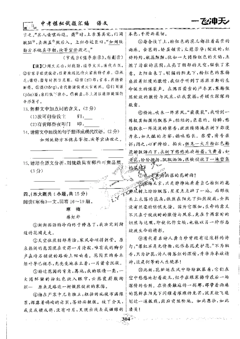 2025《一飞冲天-中考模拟试题汇编》语文_《一飞冲天-中考专项》2026版_一飞冲天-中考模拟试题汇编（2025版）