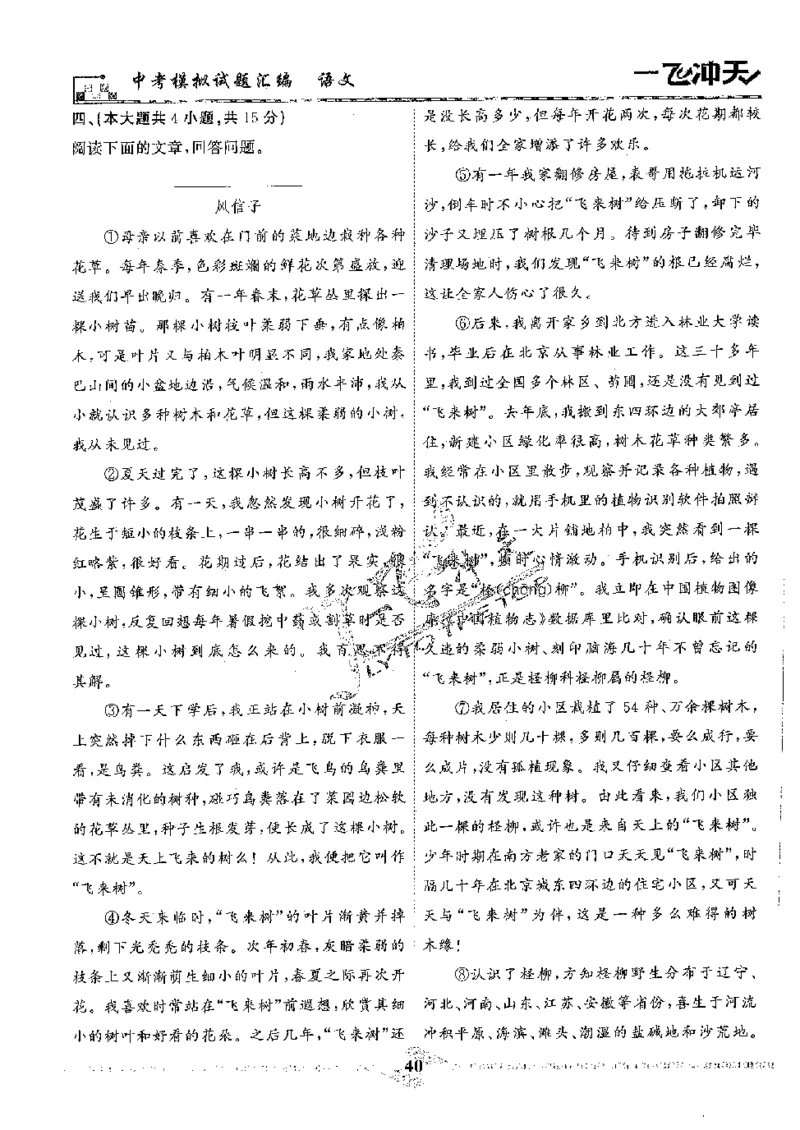 2025《一飞冲天-中考模拟试题汇编》语文_《一飞冲天-中考专项》2026版_一飞冲天-中考模拟试题汇编（2025版）