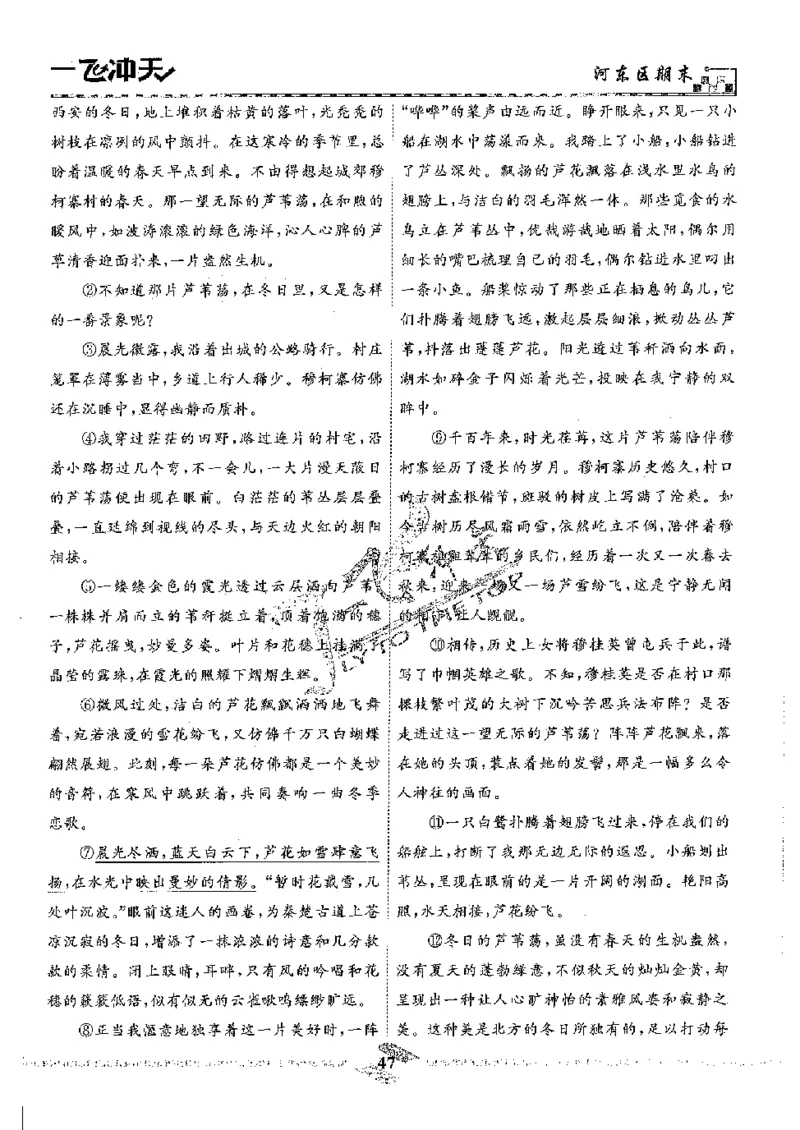 2025《一飞冲天-中考模拟试题汇编》语文_《一飞冲天-中考专项》2026版_一飞冲天-中考模拟试题汇编（2025版）