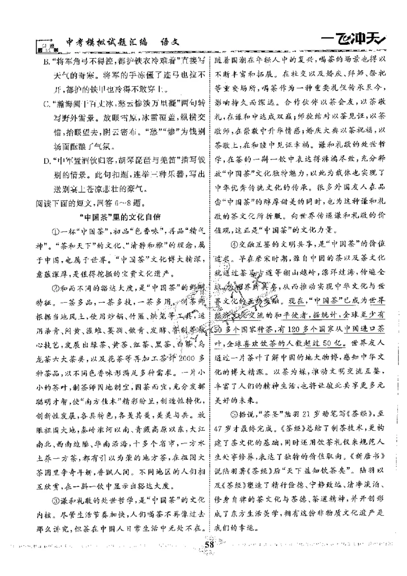 2025《一飞冲天-中考模拟试题汇编》语文_《一飞冲天-中考专项》2026版_一飞冲天-中考模拟试题汇编（2025版）