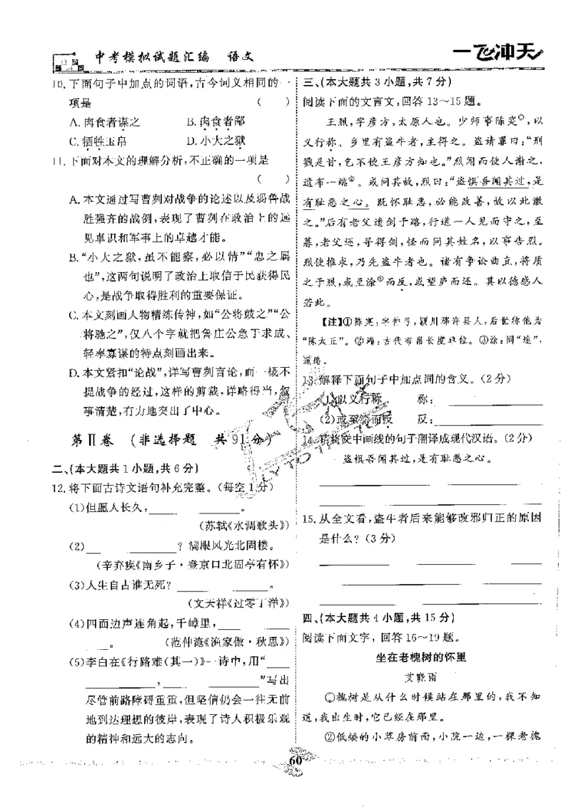 2025《一飞冲天-中考模拟试题汇编》语文_《一飞冲天-中考专项》2026版_一飞冲天-中考模拟试题汇编（2025版）