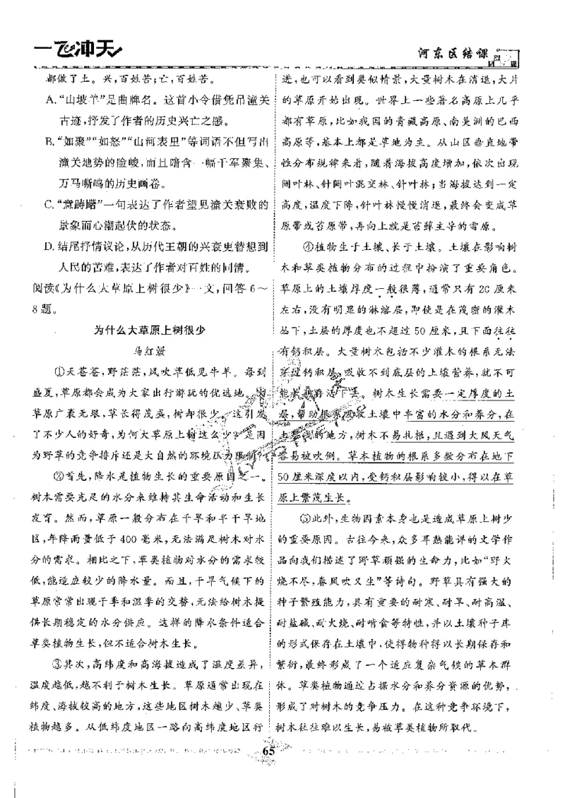 2025《一飞冲天-中考模拟试题汇编》语文_《一飞冲天-中考专项》2026版_一飞冲天-中考模拟试题汇编（2025版）