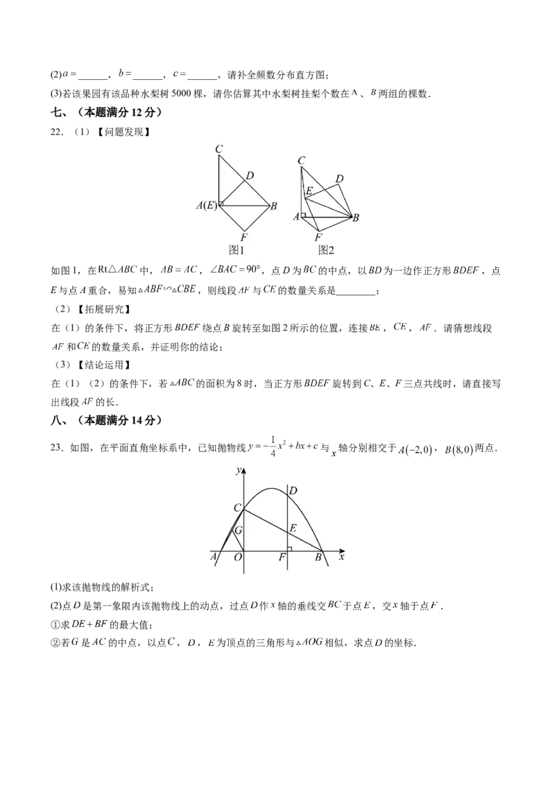 数学（安徽卷）（考试版A4）_2数学总复习_赠送：2024中考模拟题数学_二模_数学（安徽卷）-：2024年中考第二次模拟考试