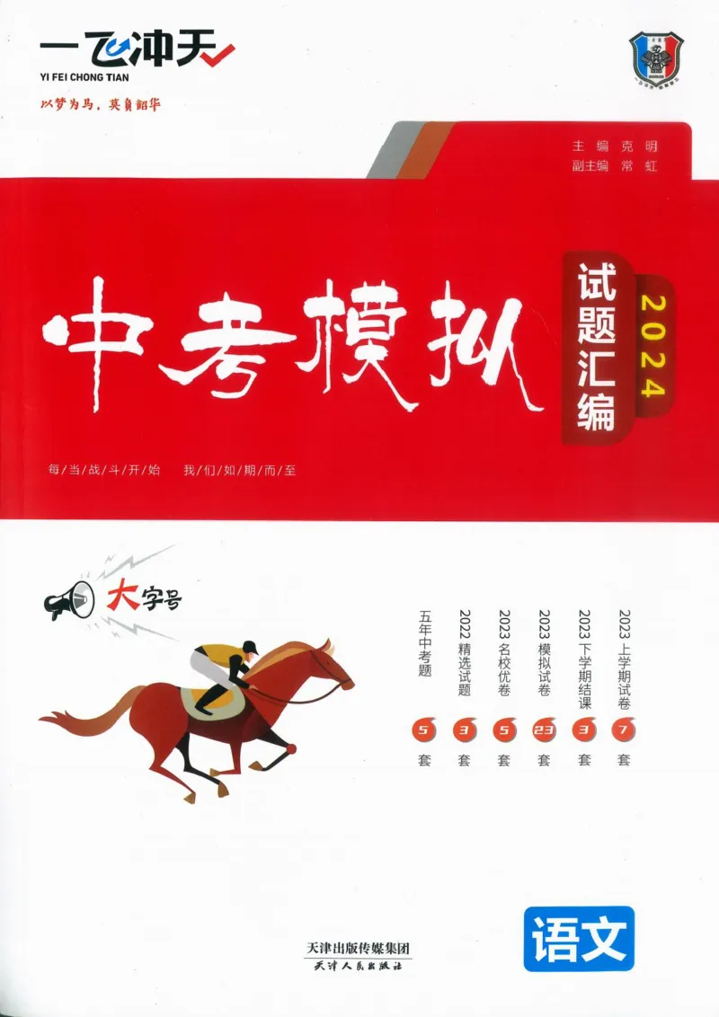 一飞冲天-中考模拟试题汇编-语文_《一飞冲天-中考专项》2026版_一飞冲天-中考模拟试题汇编（2024版）