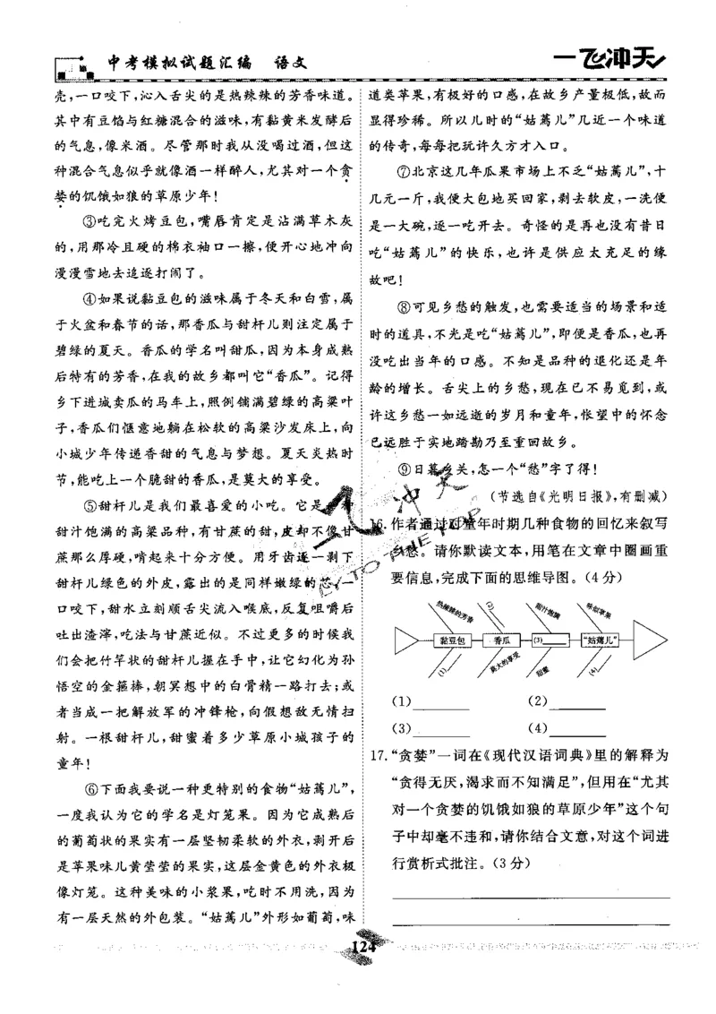 一飞冲天-中考模拟试题汇编-语文_《一飞冲天-中考专项》2026版_一飞冲天-中考模拟试题汇编（2024版）