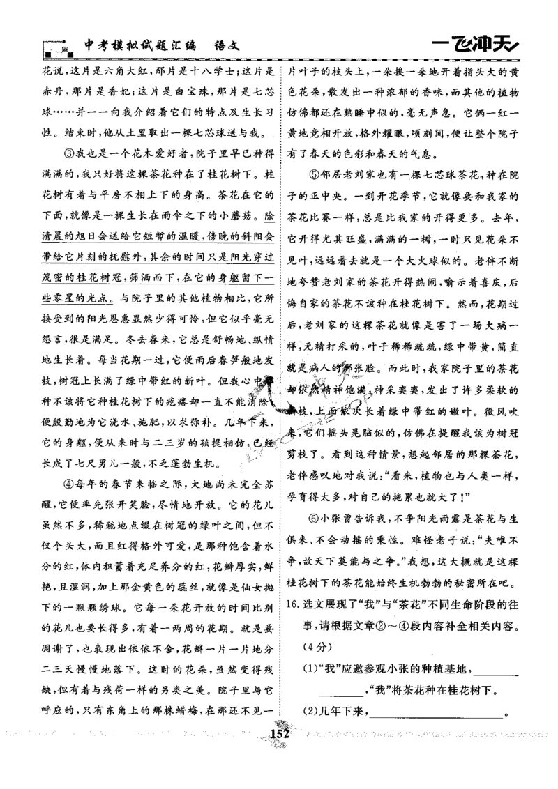 一飞冲天-中考模拟试题汇编-语文_《一飞冲天-中考专项》2026版_一飞冲天-中考模拟试题汇编（2024版）