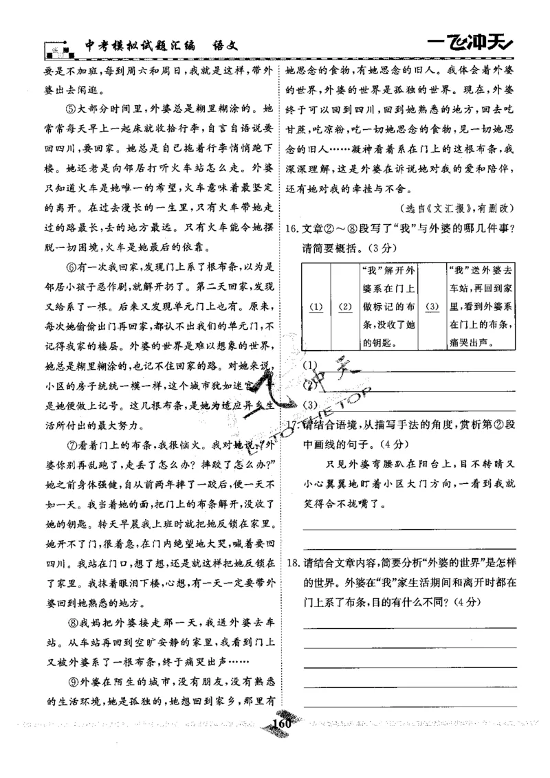 一飞冲天-中考模拟试题汇编-语文_《一飞冲天-中考专项》2026版_一飞冲天-中考模拟试题汇编（2024版）