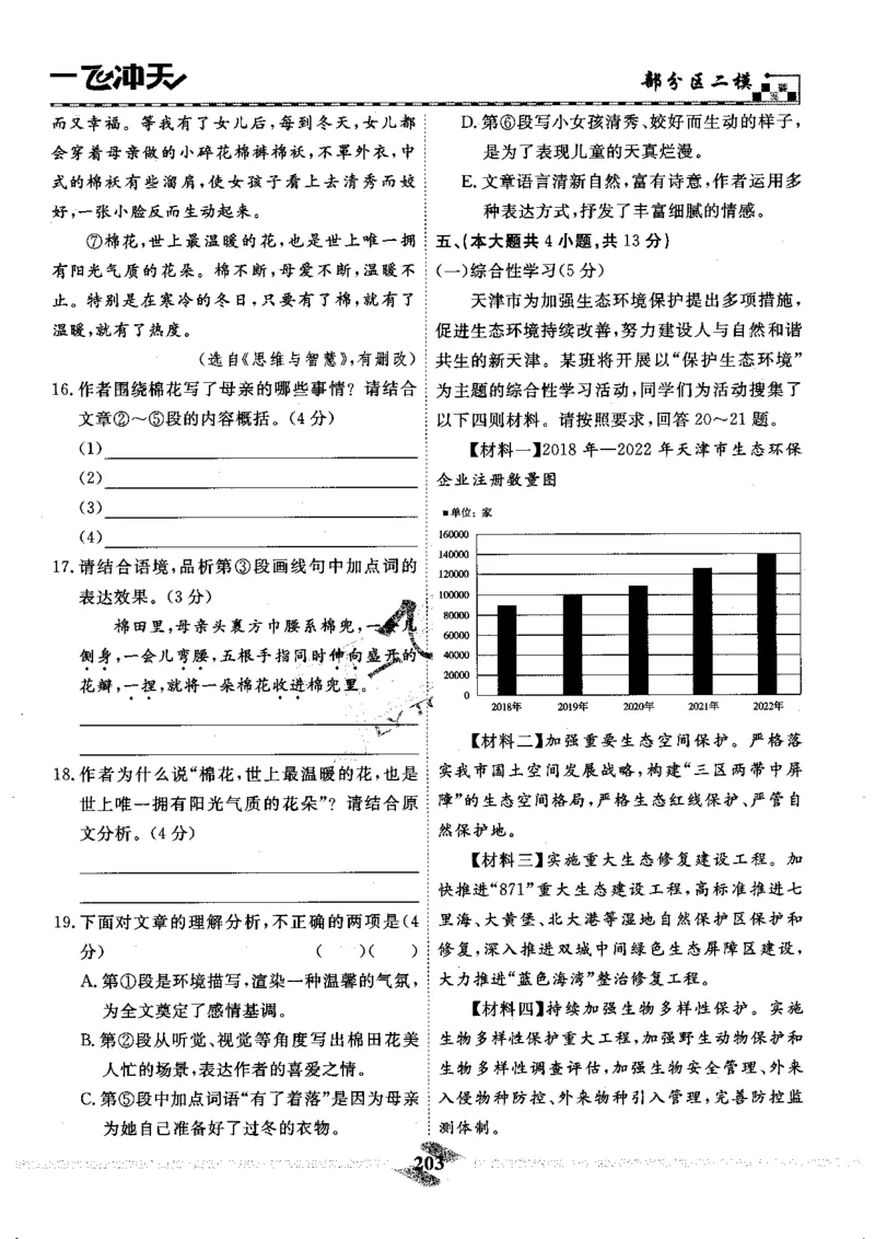 一飞冲天-中考模拟试题汇编-语文_《一飞冲天-中考专项》2026版_一飞冲天-中考模拟试题汇编（2024版）