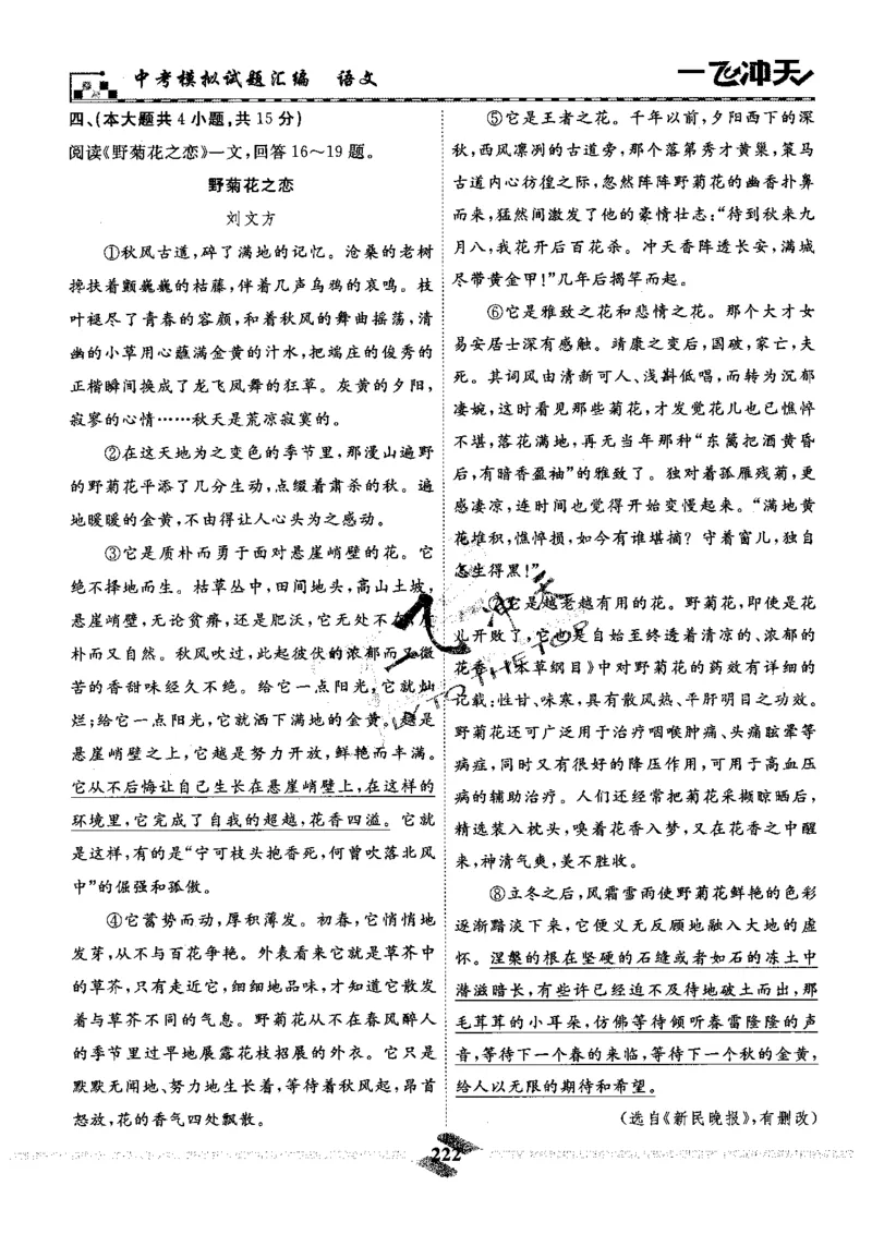 一飞冲天-中考模拟试题汇编-语文_《一飞冲天-中考专项》2026版_一飞冲天-中考模拟试题汇编（2024版）