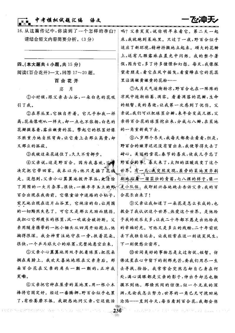 一飞冲天-中考模拟试题汇编-语文_《一飞冲天-中考专项》2026版_一飞冲天-中考模拟试题汇编（2024版）