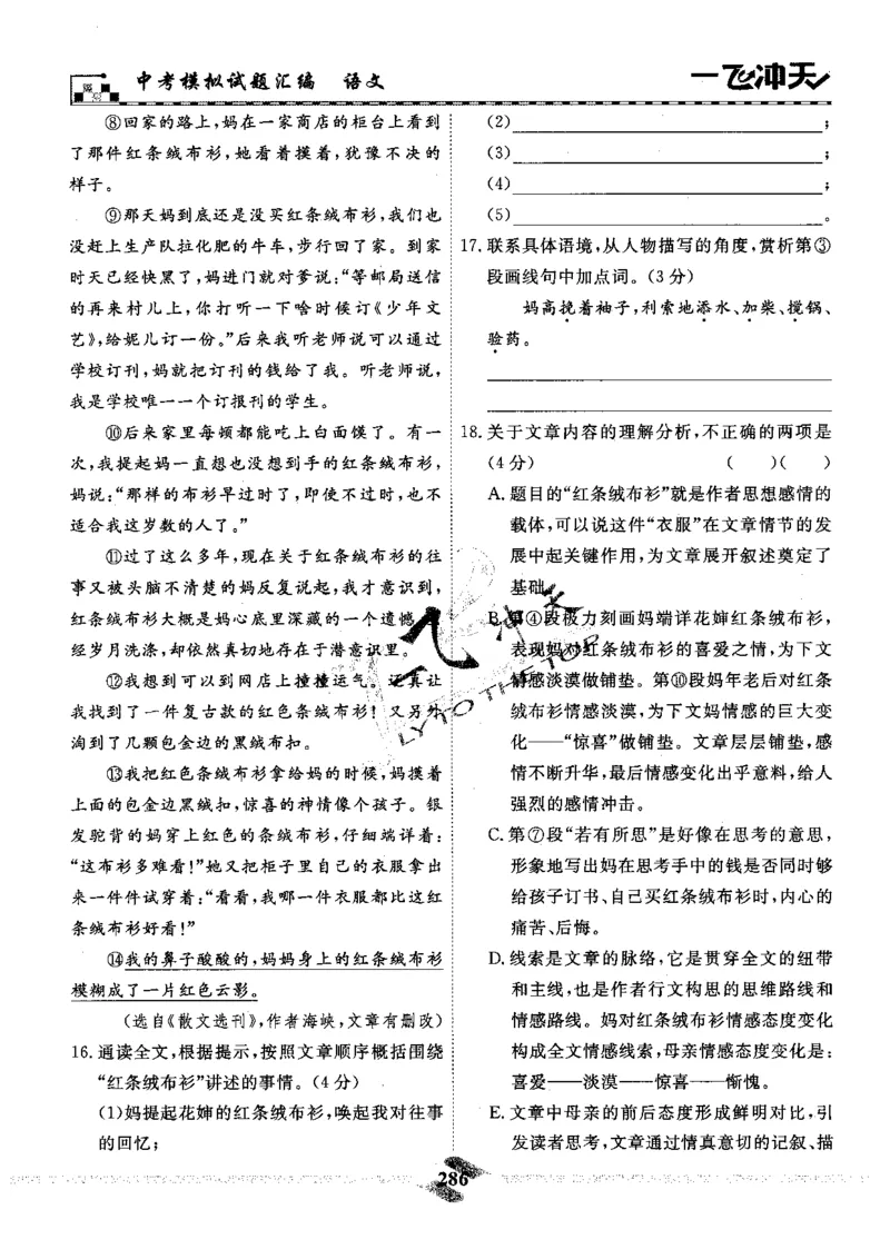 一飞冲天-中考模拟试题汇编-语文_《一飞冲天-中考专项》2026版_一飞冲天-中考模拟试题汇编（2024版）